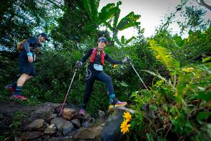 BIB: , 1400
                            <button type="button" onclick="openModal(15975010)" class="btn btn-primary btn-sm float-right btn-popup" data-toggle="modal" data-target=".modal-high-quality">
                        <i class="fas fa-shopping-cart"></i> Add to Cart
                    </button>
                                            <button type="button" onclick="isThisMe(15975010, true)" class="btn btn-success btn-sm float-right btn-popup btn-isme hidden" data-toggle="tooltip" data-placement="bottom" title="นี่คือรูปของคุณใช่ไหม คลิกที่นี่เพื่อเอาเข้าอัลบั้ม">
                        <i class="fas fa-plus"></i> Add to album
                    </button>
                    <button type="button" onclick="isThisMe(15975010, false)" class="btn btn-warning btn-sm float-right btn-popup btn-isnotme hidden">
                        <i class="fas fa-ban"></i> Remove from album
                    </button>